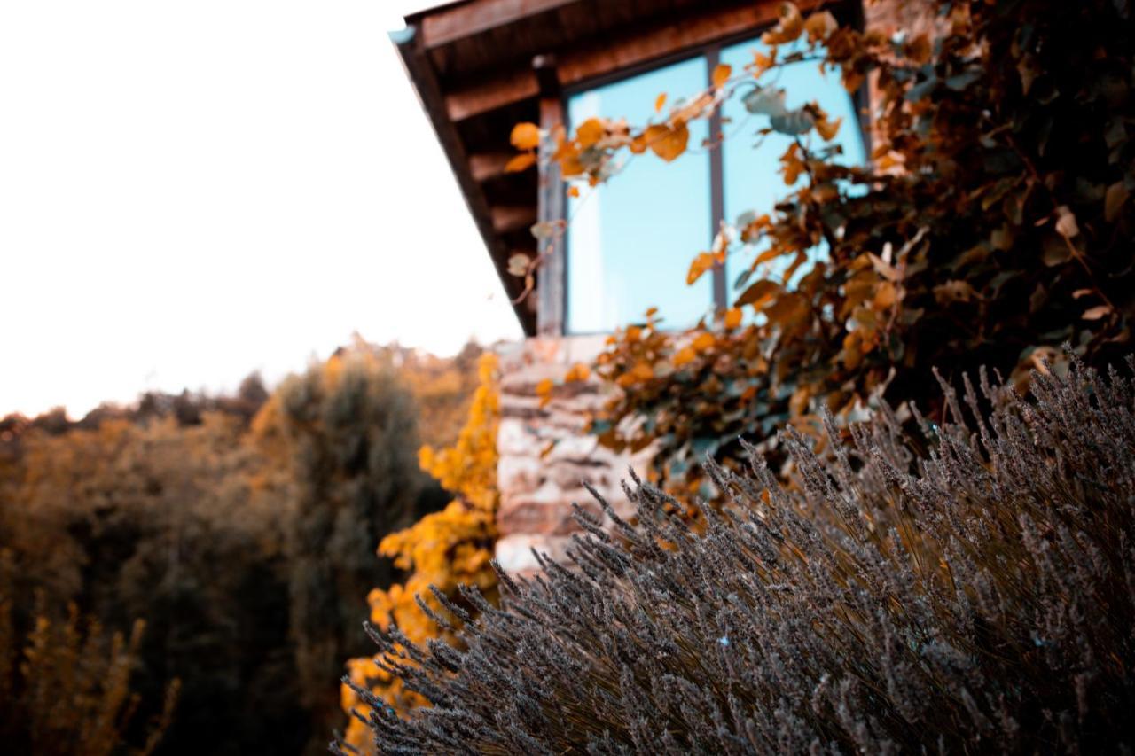 Maison d'hôtes Le Hameau de la Mûre Saint-Laurent-du-Pape Exterior foto