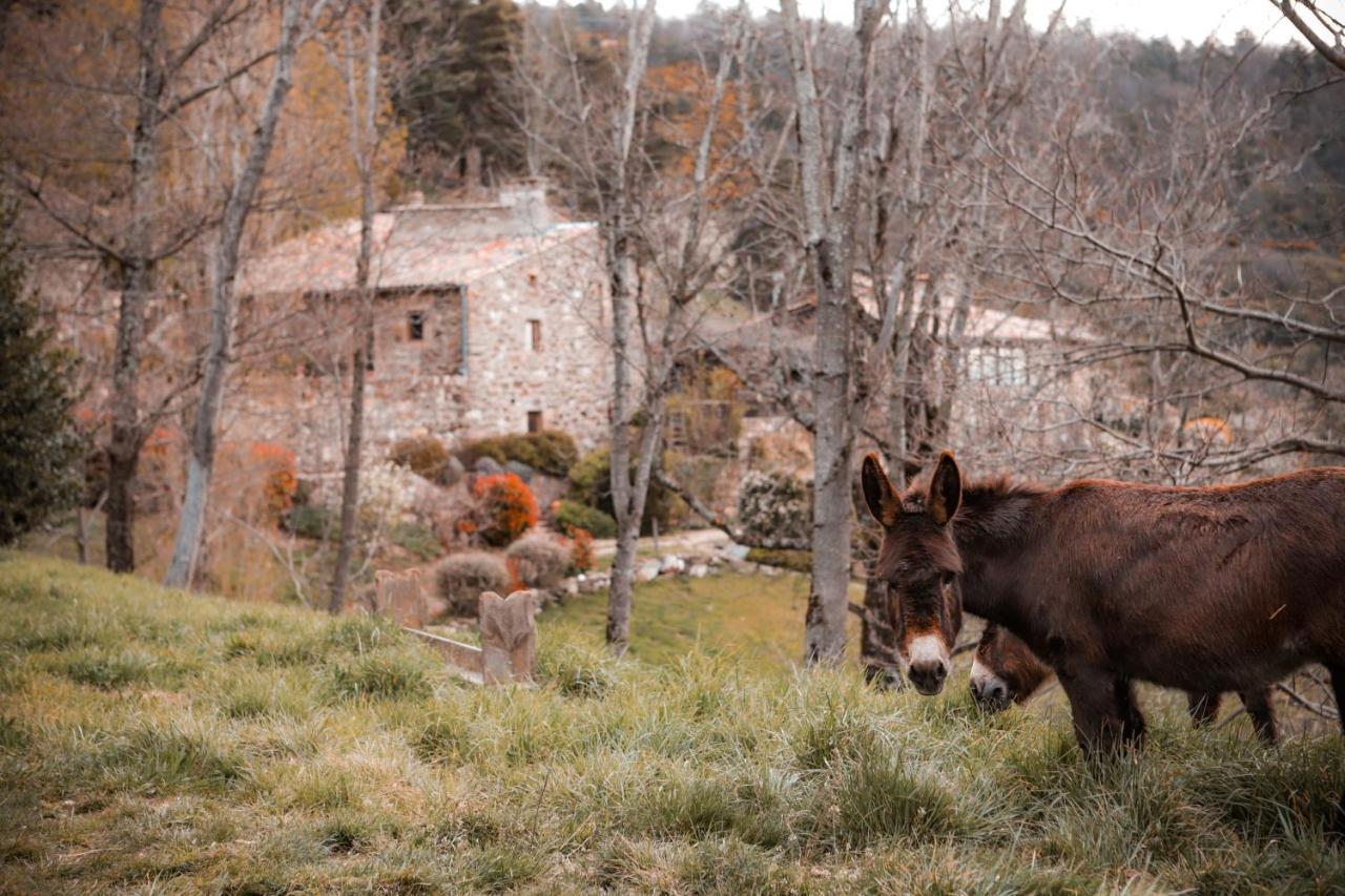 Maison d'hôtes Le Hameau de la Mûre Saint-Laurent-du-Pape Exterior foto